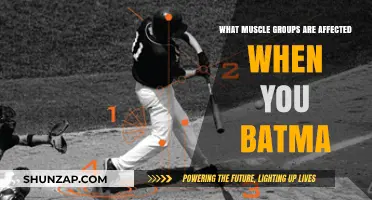 Batting Mechanics: Key Muscles Engaged in Every Swing