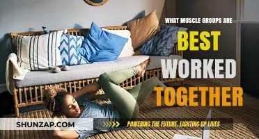 Effective Muscle Pairing: Optimize Workouts by Combining Key Groups