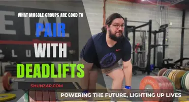 Deadlift Dominance: Synergistic Muscle Groups for Optimal Performance