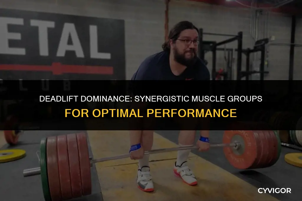what muscle groups are good to pair with deadlifts