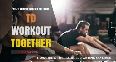Synergistic Strength: Muscle Groups That Thrive in Tandem
