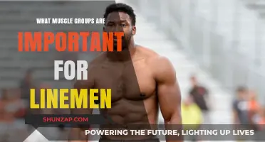 Essential Muscle Groups for Linemen: Strength and Power Training Focus