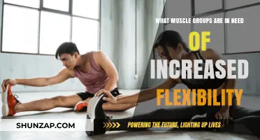 Unlocking Mobility: Key Muscle Groups Needing Flexibility Boost