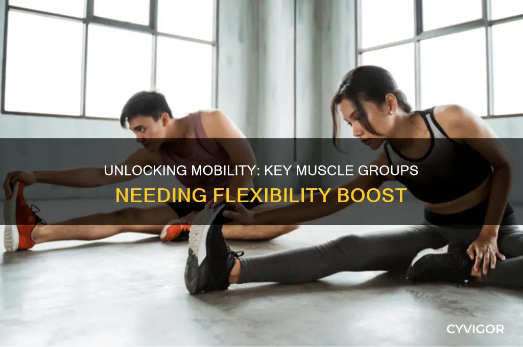 what muscle groups are in need of increased flexibility