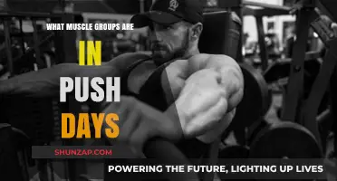 Push Day Power: Targeting Chest, Shoulders, and Triceps for Strength
