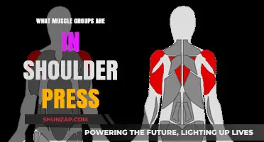Shoulder Press Muscles: Targeted Groups for Strength and Definition
