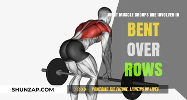 Bent Over Rows: Targeting Back, Shoulders, and Core Muscles