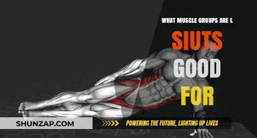 Sculpting Strength: The Muscle-Building Benefits of L-Sit Exercises