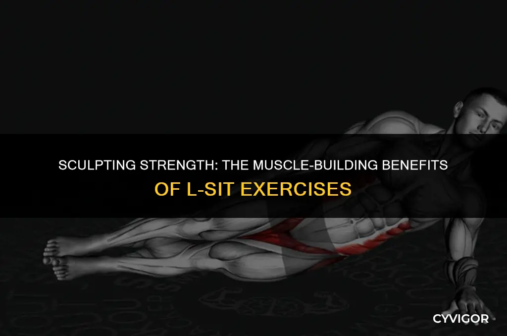 what muscle groups are l siuts good for