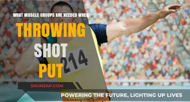 Essential Muscle Groups for Powerful Shot Put Throws: A Guide