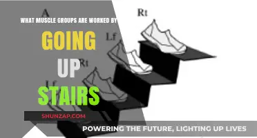 Climbing Stairs: Targeted Muscle Groups and Full-Body Benefits