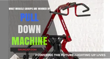 Pull Down Machine: Targeted Muscle Groups and Benefits Explained