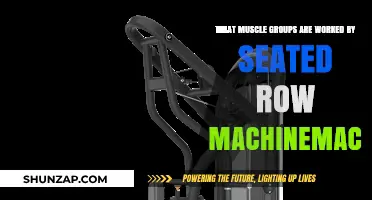 Seated Row Machine: Targeted Muscle Groups and Benefits Explained