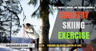 Cross-Country Skiing: A Full-Body Workout Targeting Key Muscle Groups