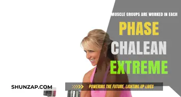 Chalean Extreme Muscle Breakdown: Targeted Groups in Each Phase