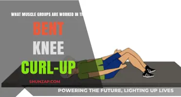 Bent Knee Curl-Up: Targeted Muscle Groups and Benefits Explained