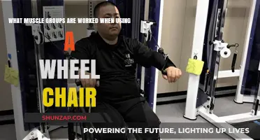 Wheelchair Workout: Key Muscle Groups Engaged in Wheelchair Use