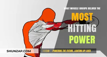 Unleash Maximum Hitting Power: Key Muscle Groups for Explosive Strikes
