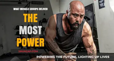 Unlocking Strength: Key Muscle Groups for Maximum Power Output