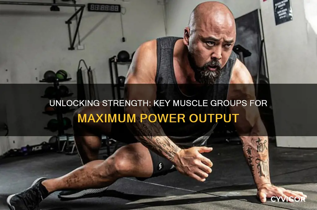 what muscle groups deliver the most power