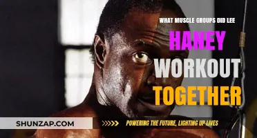 Lee Haney's Workout Splits: Muscle Groups Trained Together Revealed