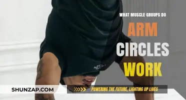 Arm Circles: Targeted Muscle Groups and Benefits Explained