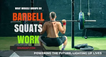 Barbell Squats: Targeted Muscle Groups for Strength and Power