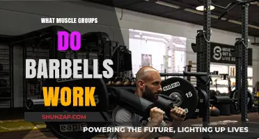 Barbell Benefits: Targeting Major Muscle Groups for Full-Body Strength