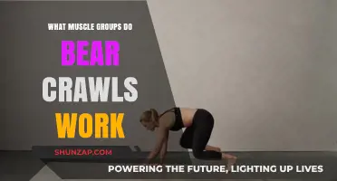 Bear Crawls: Targeting Core, Shoulders, Hips, and Leg Muscles Effectively