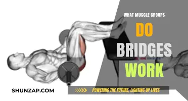 Bridges Exercise: Targeted Muscle Groups and Core Strength Benefits