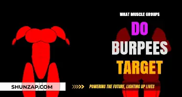 Burpees: Full-Body Workout Targeting Multiple Muscle Groups Explained