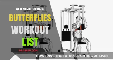 Butterfly Workout Benefits: Targeted Muscle Groups and Exercise List
