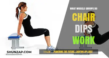 Chair Dips: Targeted Muscle Groups for Upper Body Strength