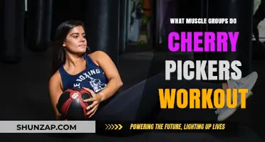Cherry Pickers Workout: Targeted Muscle Groups and Fitness Benefits