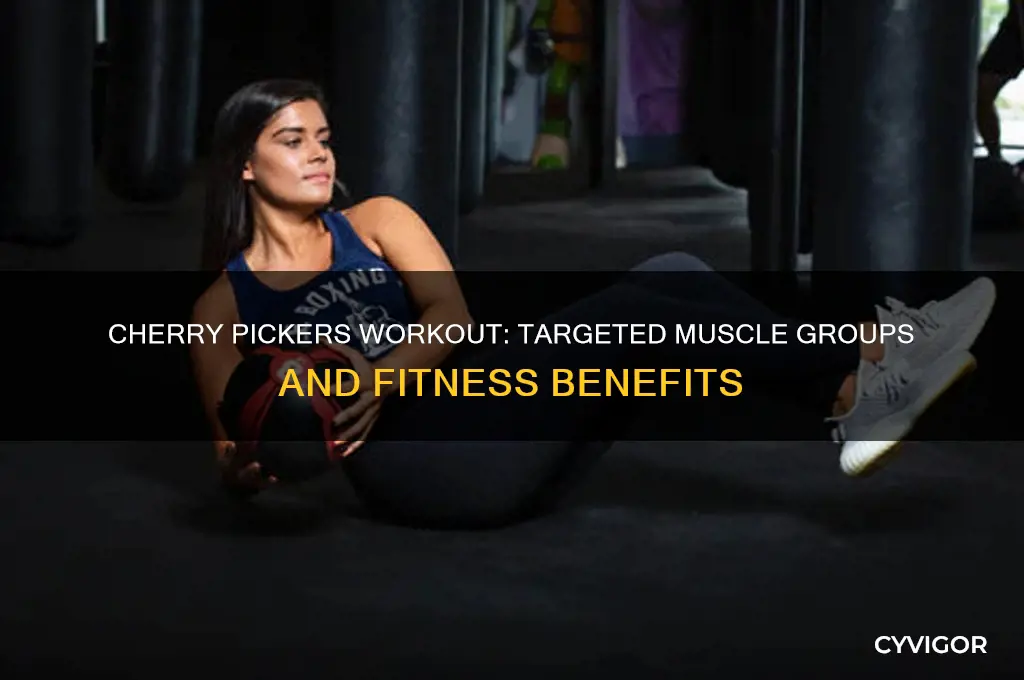 what muscle groups do cherry pickers workout