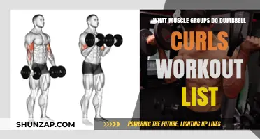 Dumbbell Curls: Targeted Muscle Groups for Stronger Arms and Shoulders