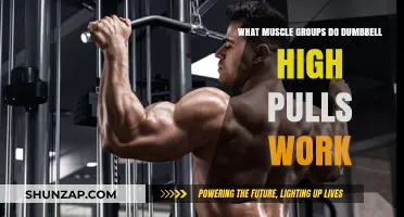 Dumbbell High Pulls: Targeted Muscle Groups and Benefits Explained