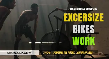 Pedal Power: Muscle Groups Targeted by Exercise Bikes Revealed