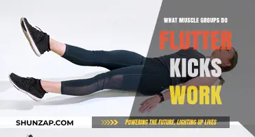 Flutter Kicks: Targeted Muscle Groups for Core and Lower Body Strength