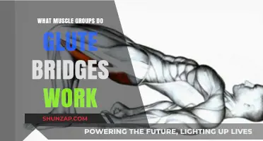 Glute Bridges: Targeted Muscle Groups and Benefits Explained