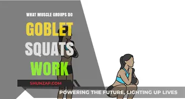 Goblet Squats: Targeting Quads, Glutes, Core, and Lower Body Muscles