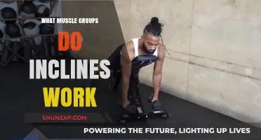Incline Workouts: Targeting Chest, Shoulders, and Triceps for Strength Gains
