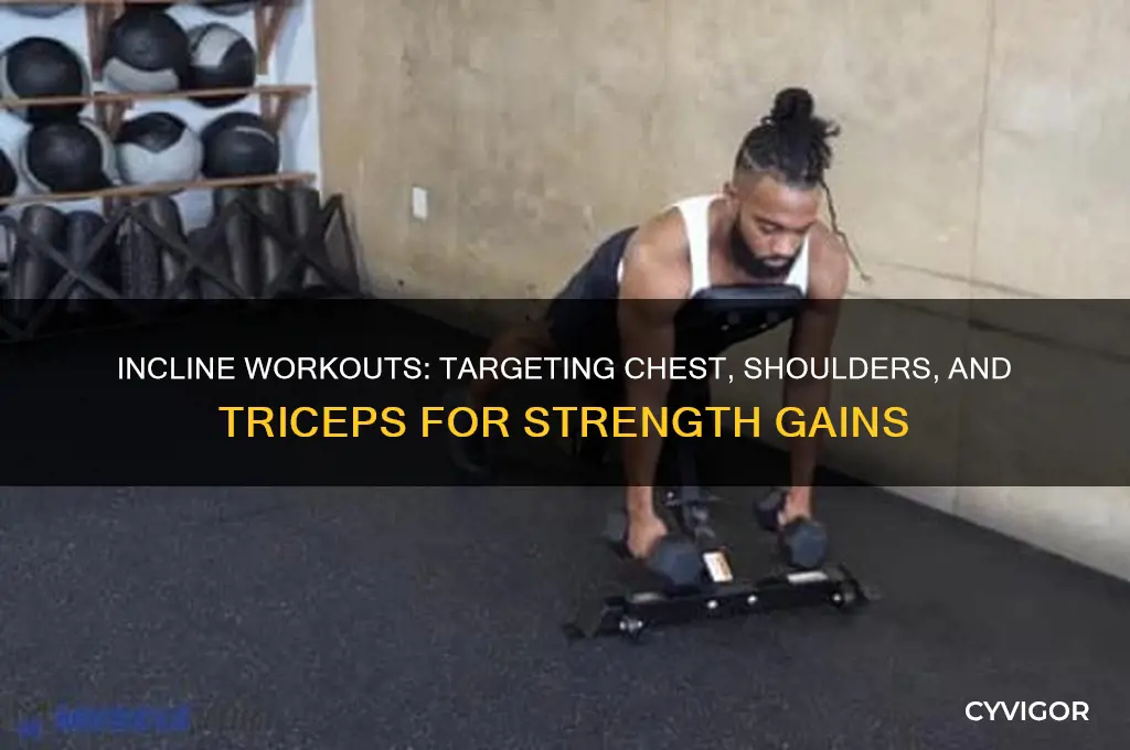 what muscle groups do inclines work