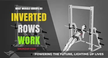 Inverted Rows: Targeted Muscle Groups and Strength Benefits Explained