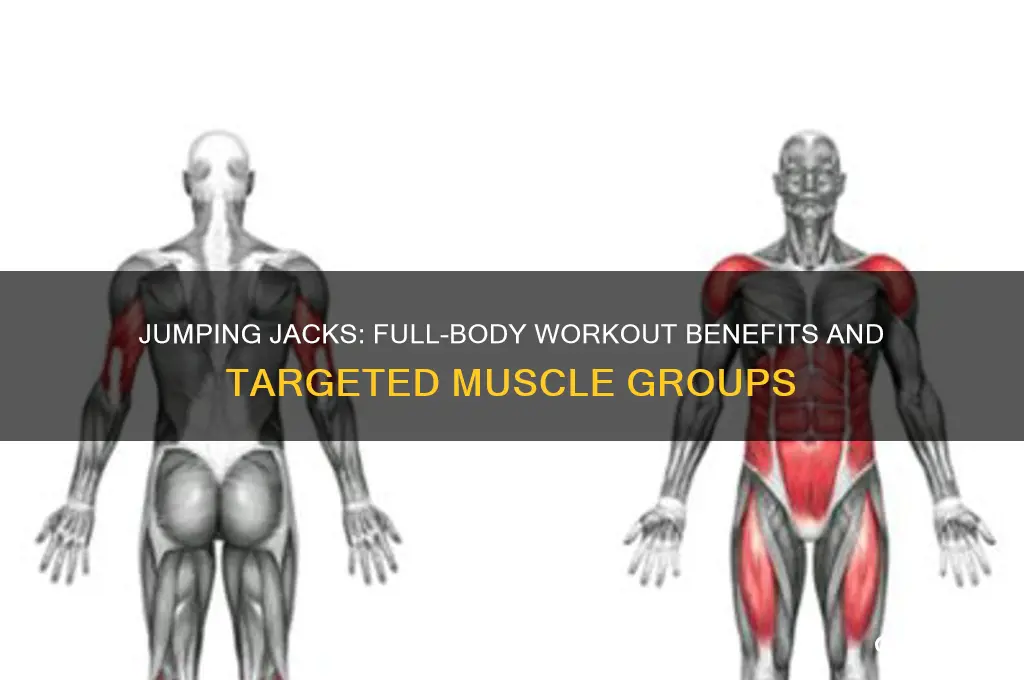 what muscle groups do jumping jacks workout