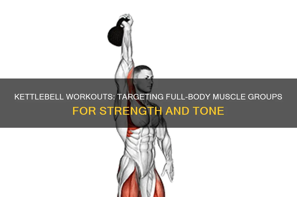 what muscle groups do kettlebells work