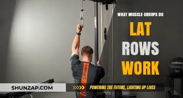 Lat Rows: Targeted Muscle Groups and Benefits Explained