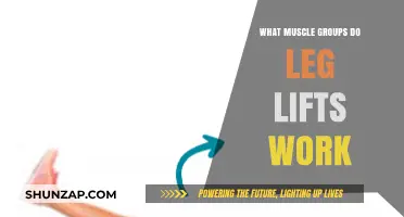 Leg Lifts: Targeted Muscle Groups for Stronger Lower Body Workouts
