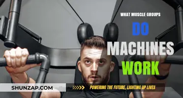 Unveiling the Muscle Groups Targeted by Gym Machines
