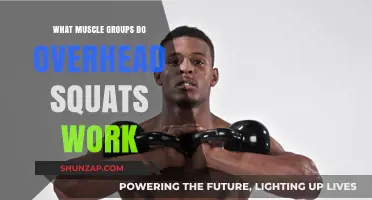 Overhead Squats: Targeted Muscle Groups for Full-Body Strength